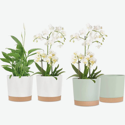 Blumen Topf 2er Bundle