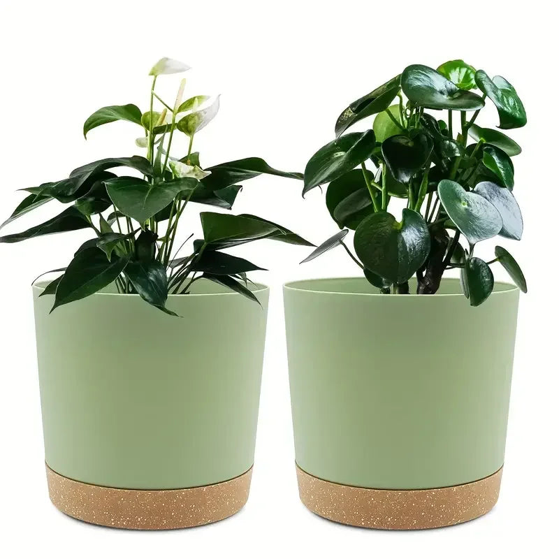 Blumen Topf 2er Bundle